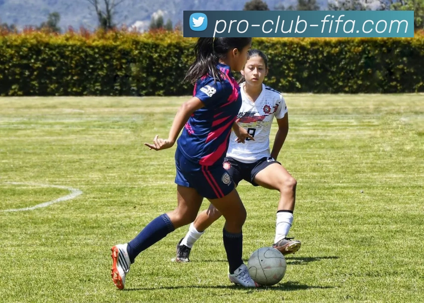 玩法全解析APP 封面图